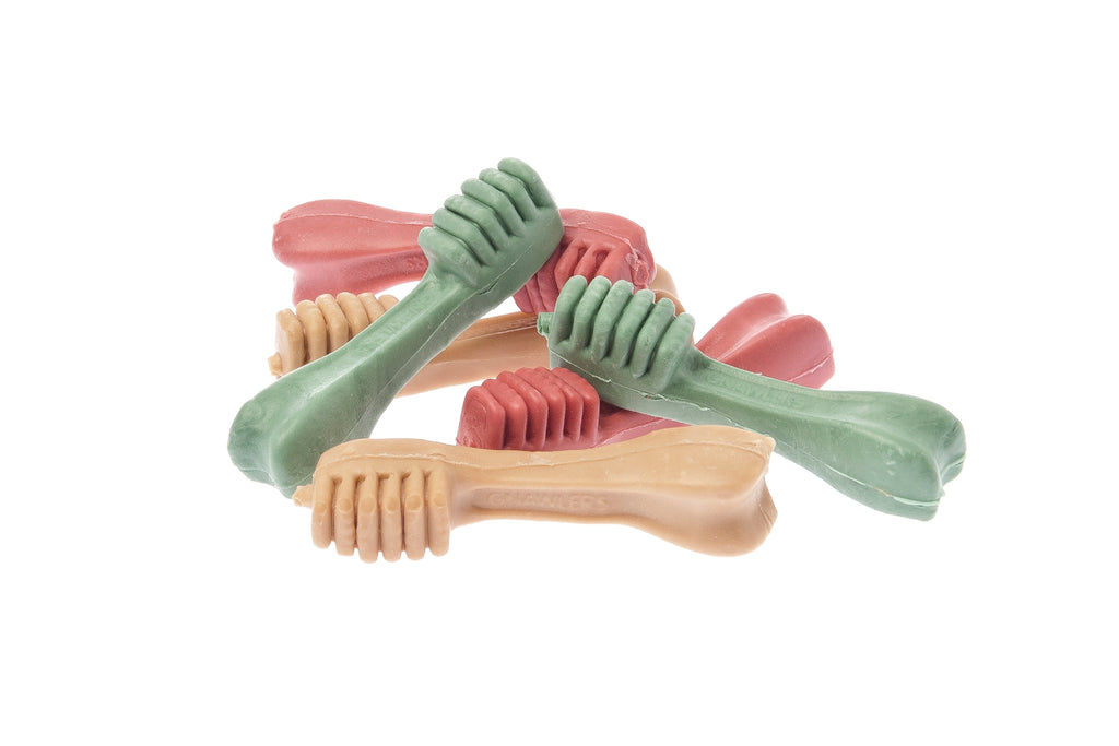 Bone Fruit Plant-based Dog Treats – Spazzolini