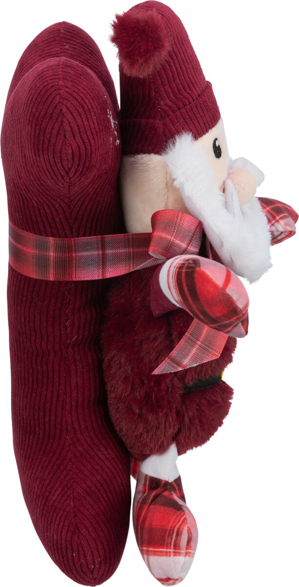 Xmas Bone and Santa Claus